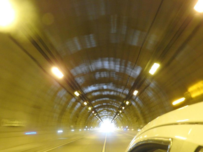 Bachelor of Sports Education