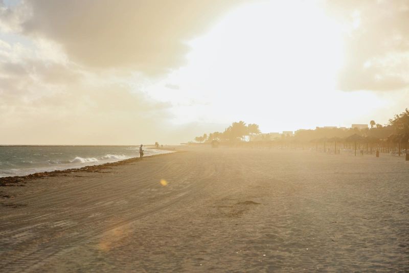 Master of Special Education