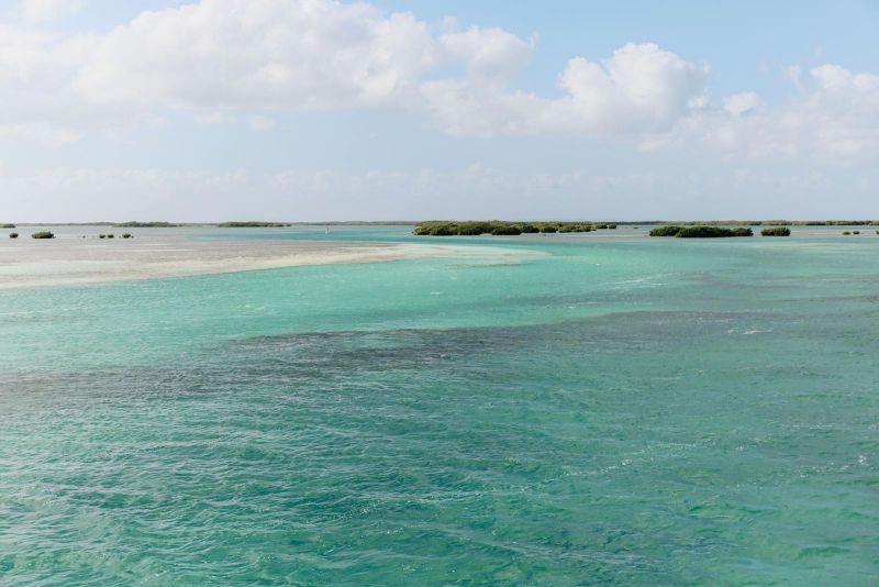 Master of Leadership & Talent Development