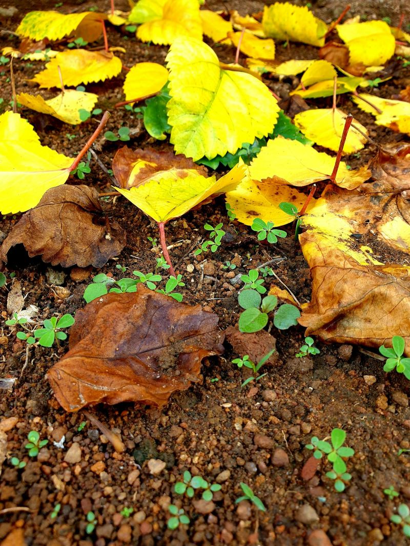 PhD in Cultural Heritage